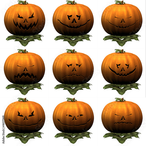 9 Nine Pumkins photo