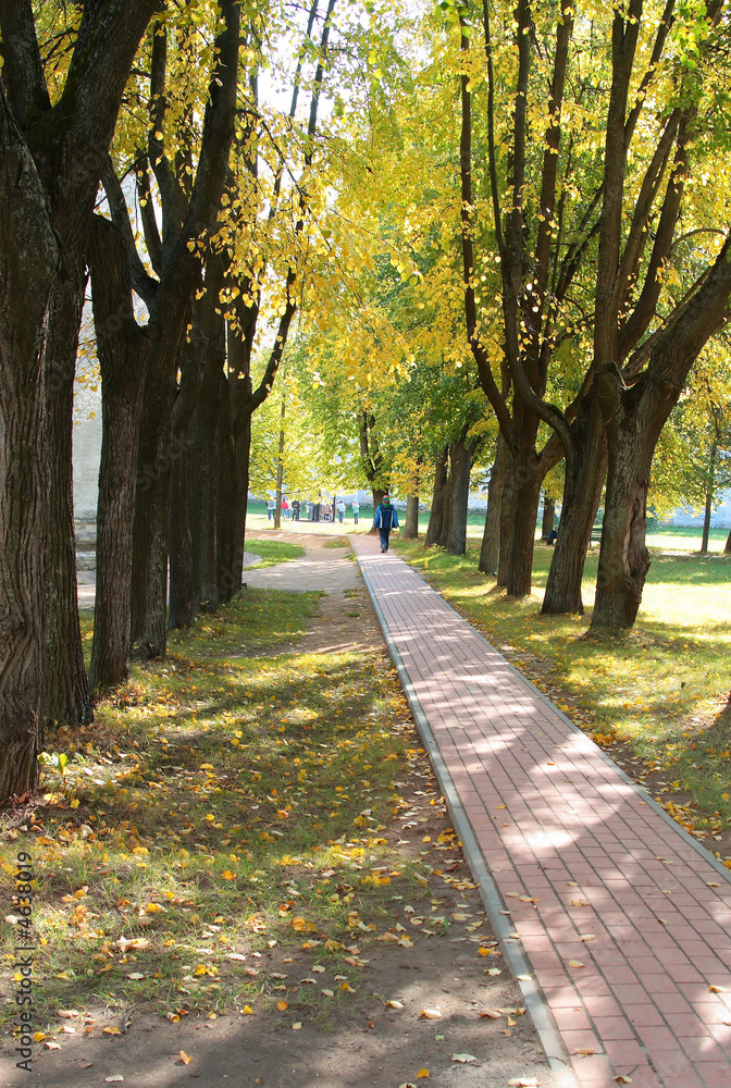 Fototapeta premium Lane in the monastery