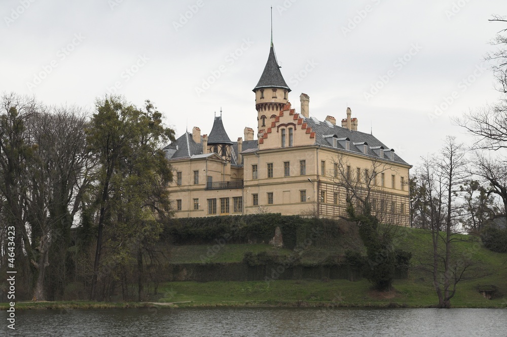 The castle Radun