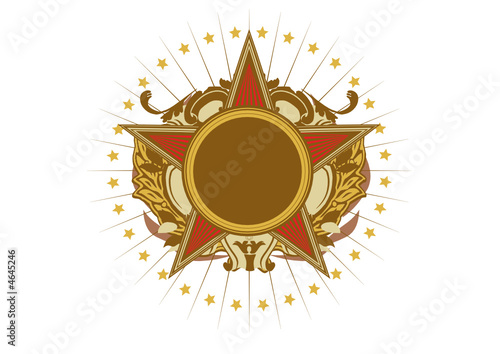 Insignia - star shaped   
