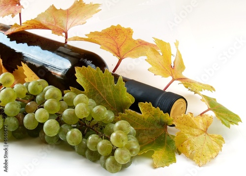 White wine with bottle and grapes