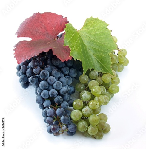 grape cluster with leaves