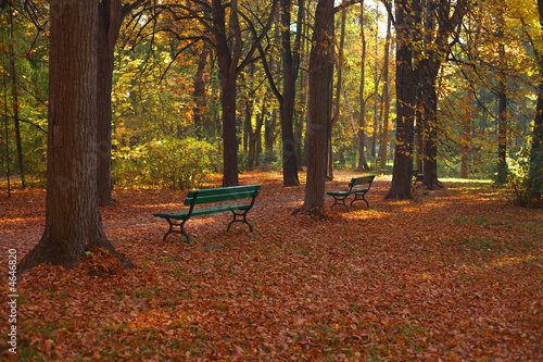 Autumn road © Jacek Chabraszewski