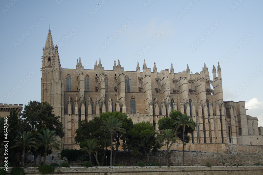 Kathedrale in Palma (4)