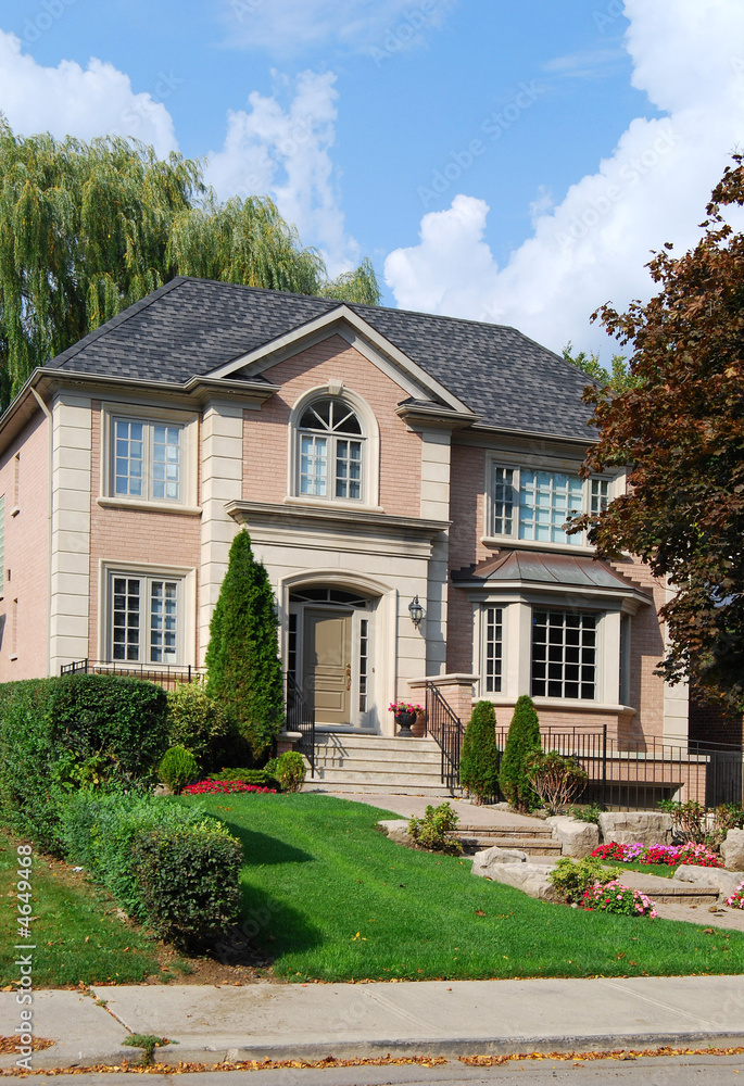 House with landscaping and willow tree, vertical House with landscaping and willow tree, vertical
