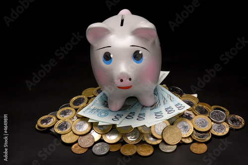 Piggy Bank with money