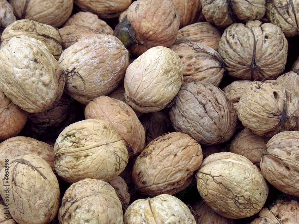 walnuts walnuts