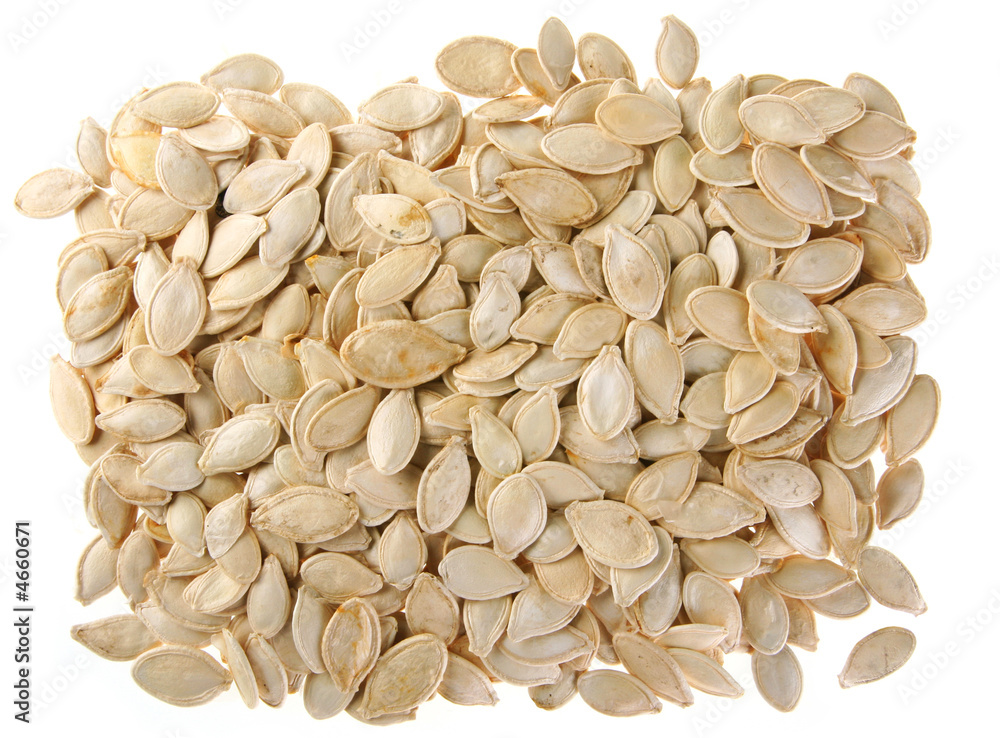 Pumpkin seed Pumpkin seed