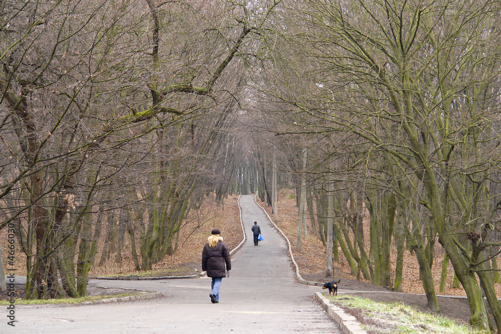People walking in a park