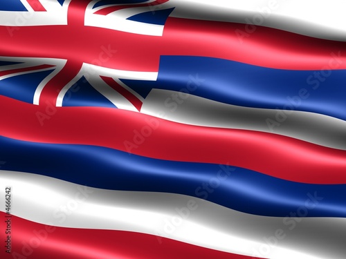 Flag of the state of Hawaii
