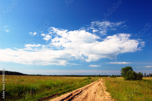 Road through the field. Dark blue sky. White clouds.