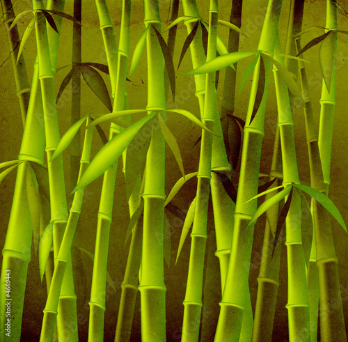 Fototapeta Naklejka Na Ścianę i Meble -  bamboo trees