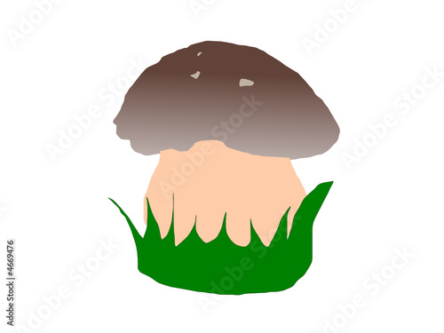 Boletus