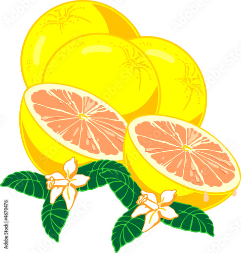 pamplemousse