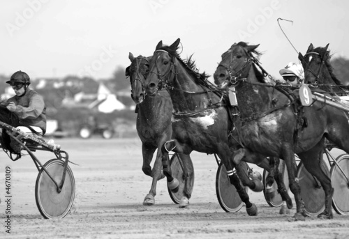 Course attelé 9