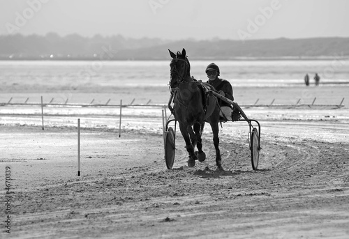 Course attelé 4