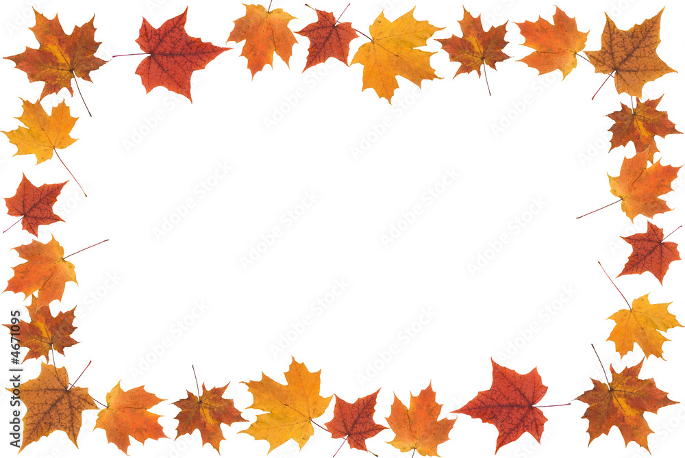 fall leaves frame fall leaves frame
