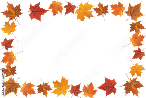 fall leaves frame