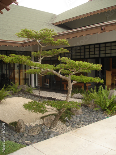 Japanese house