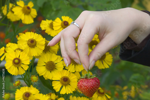 hand with single strawberry