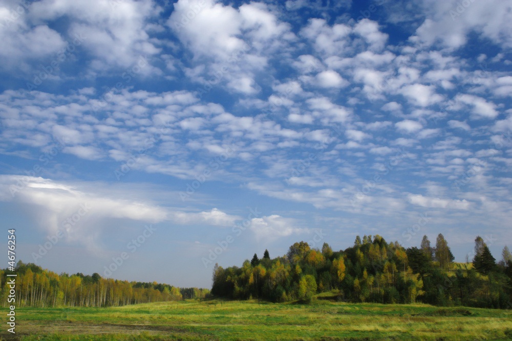 Autumn Landscape green grass, blue sky , white clouds and trees