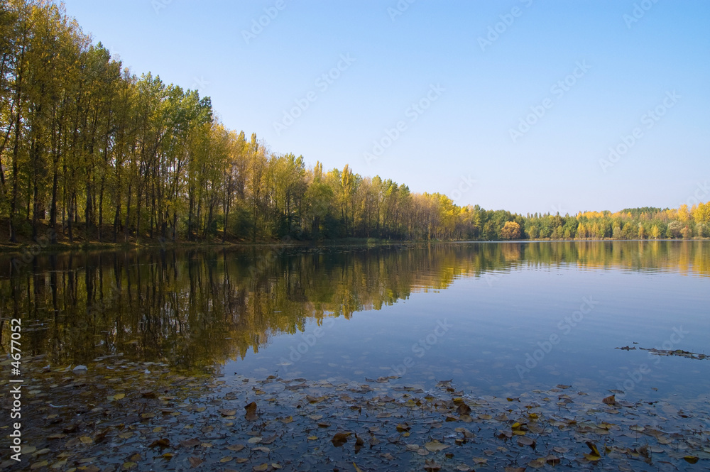 Lake in the autumn