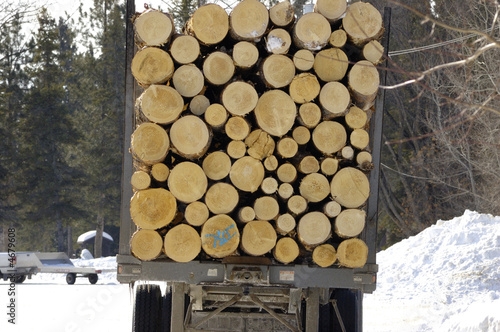 Logging truck
