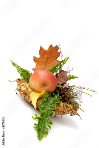 Autumnal leaves arragement