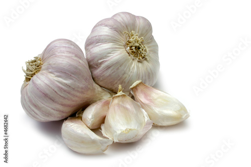 Purple Garlic