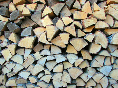 Wood Pile