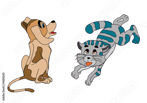 cat and dog