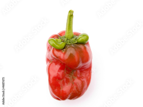 Red pepper green ears