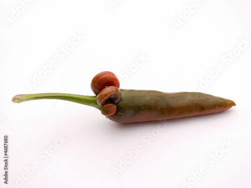Odd shaped red chilli