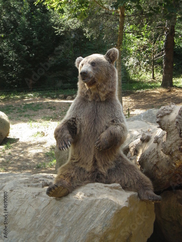 Ours