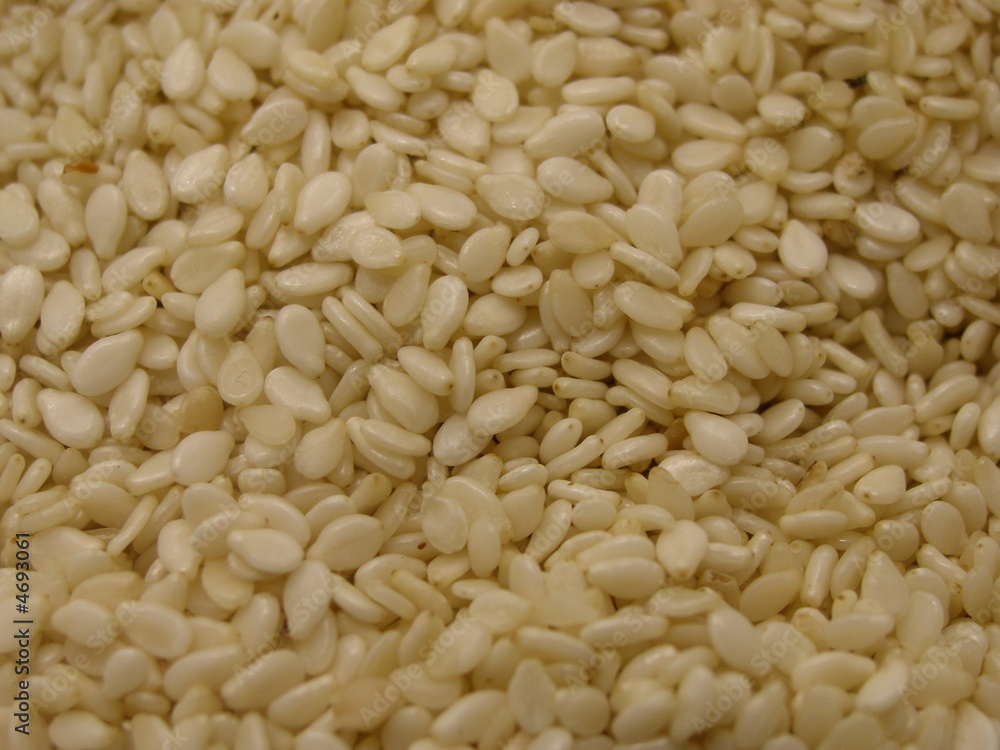 White sesame seeds close up background view White sesame seeds close up background view