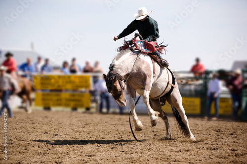 Saddle Bronc photo