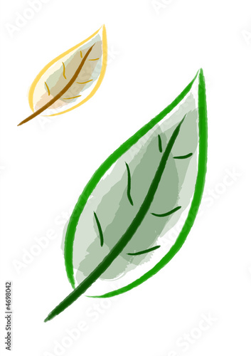Hand drawing leaf