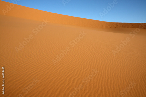 dune 6
