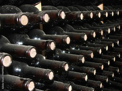 WINE ROWS