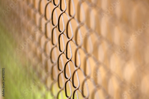 Wire netting - depth of field