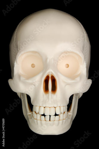 Funny Skull