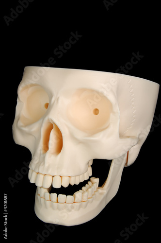 Funny Skull