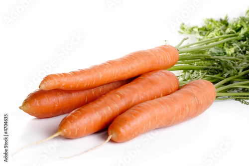 Carrot