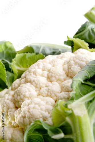 Cauliflower close-up