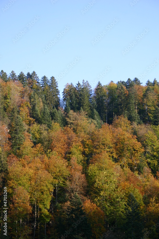 2007-10-13 Saut du Doubs 056