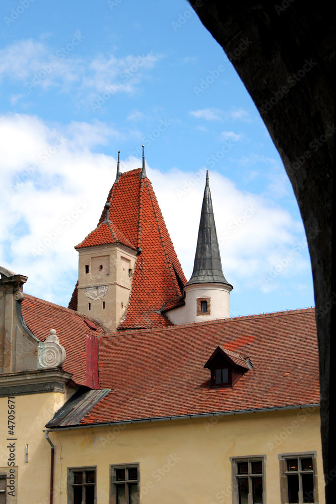 renaissance castle renaissance castle