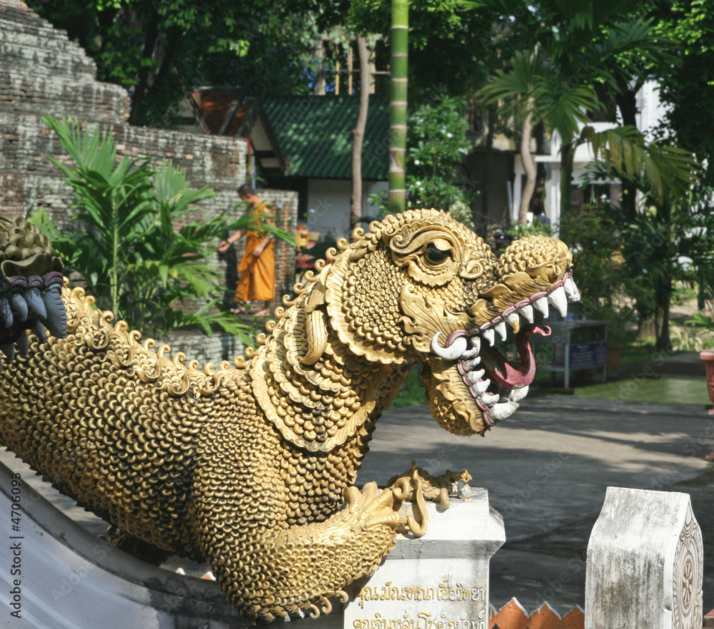Fototapeta premium dragon