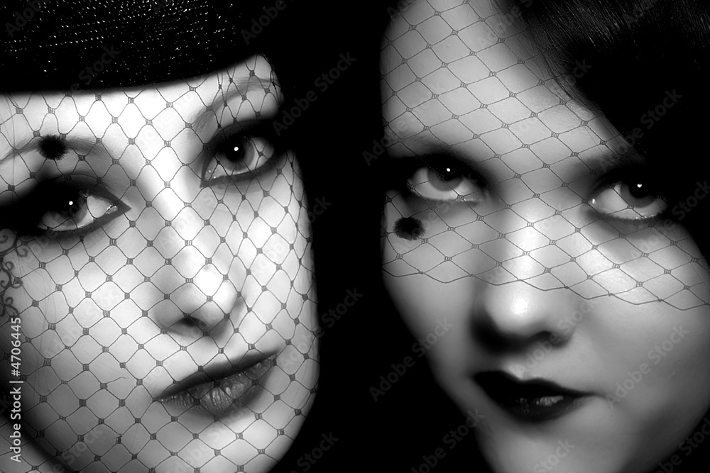 Fototapeta premium black widows