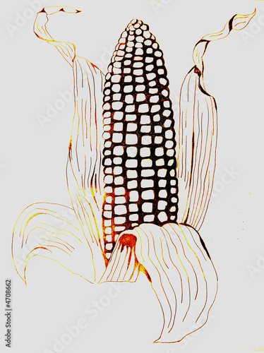 Maiskolben