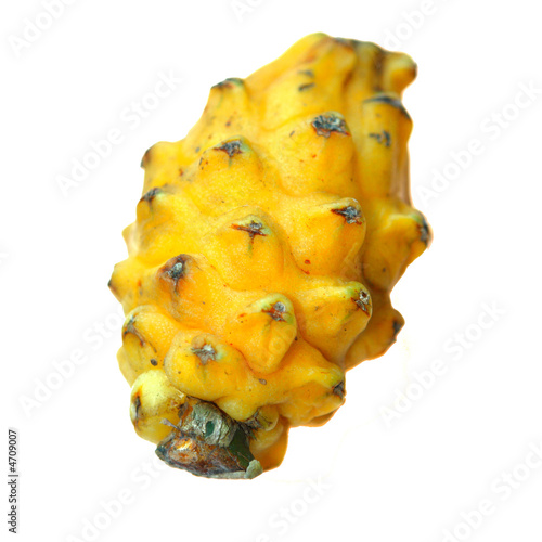 Gelbe Drachenfrucht